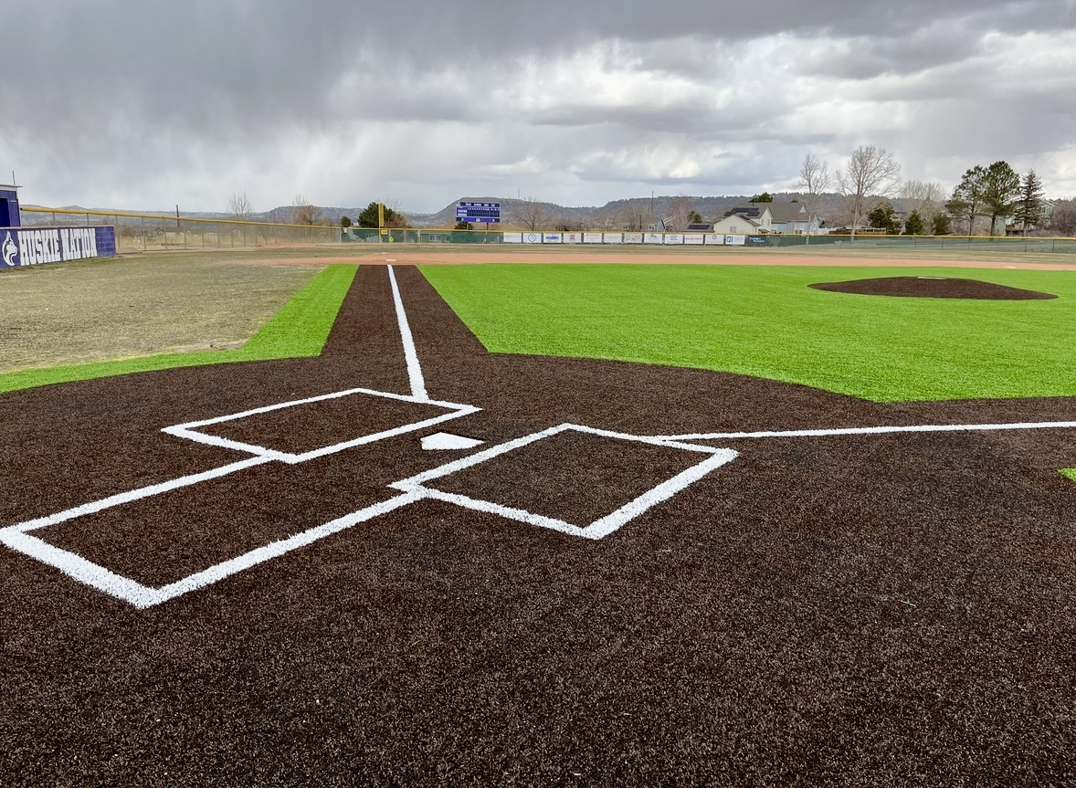 Sports fields turf