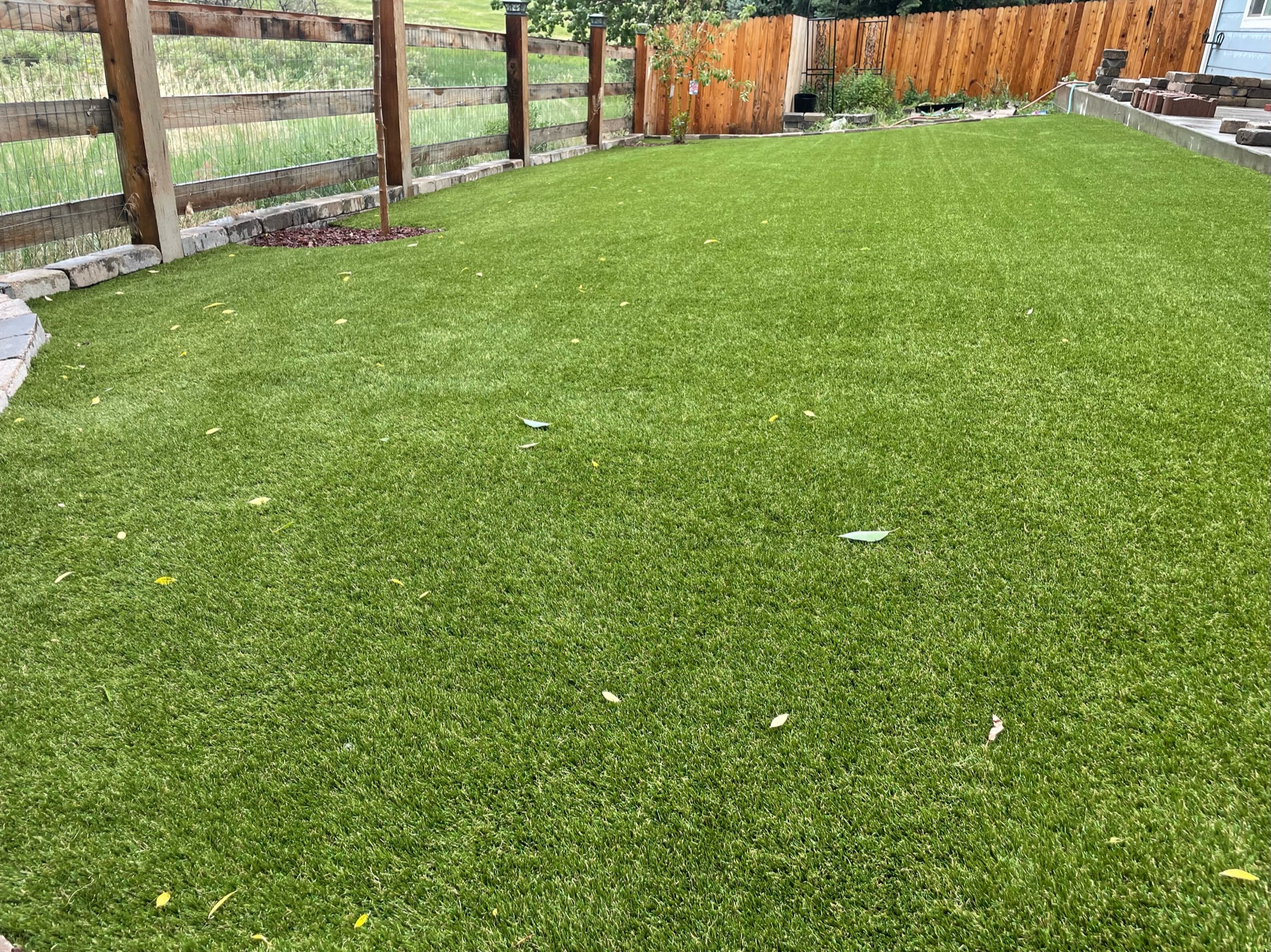 Best lawn solutions in Nebraska