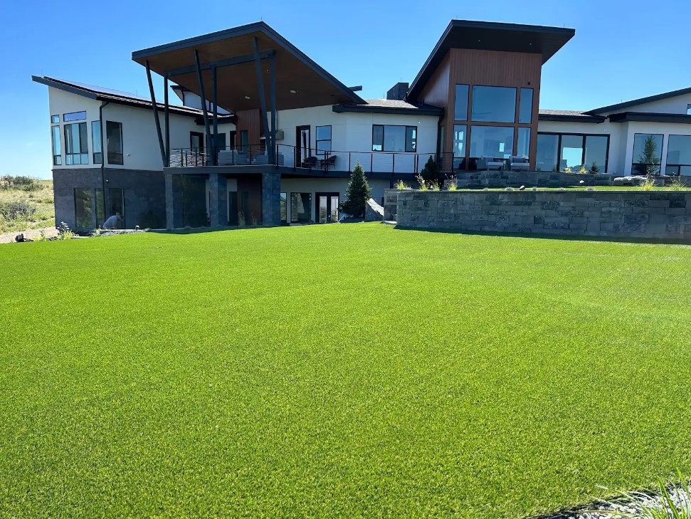 backyard synthetic grass Nebraska