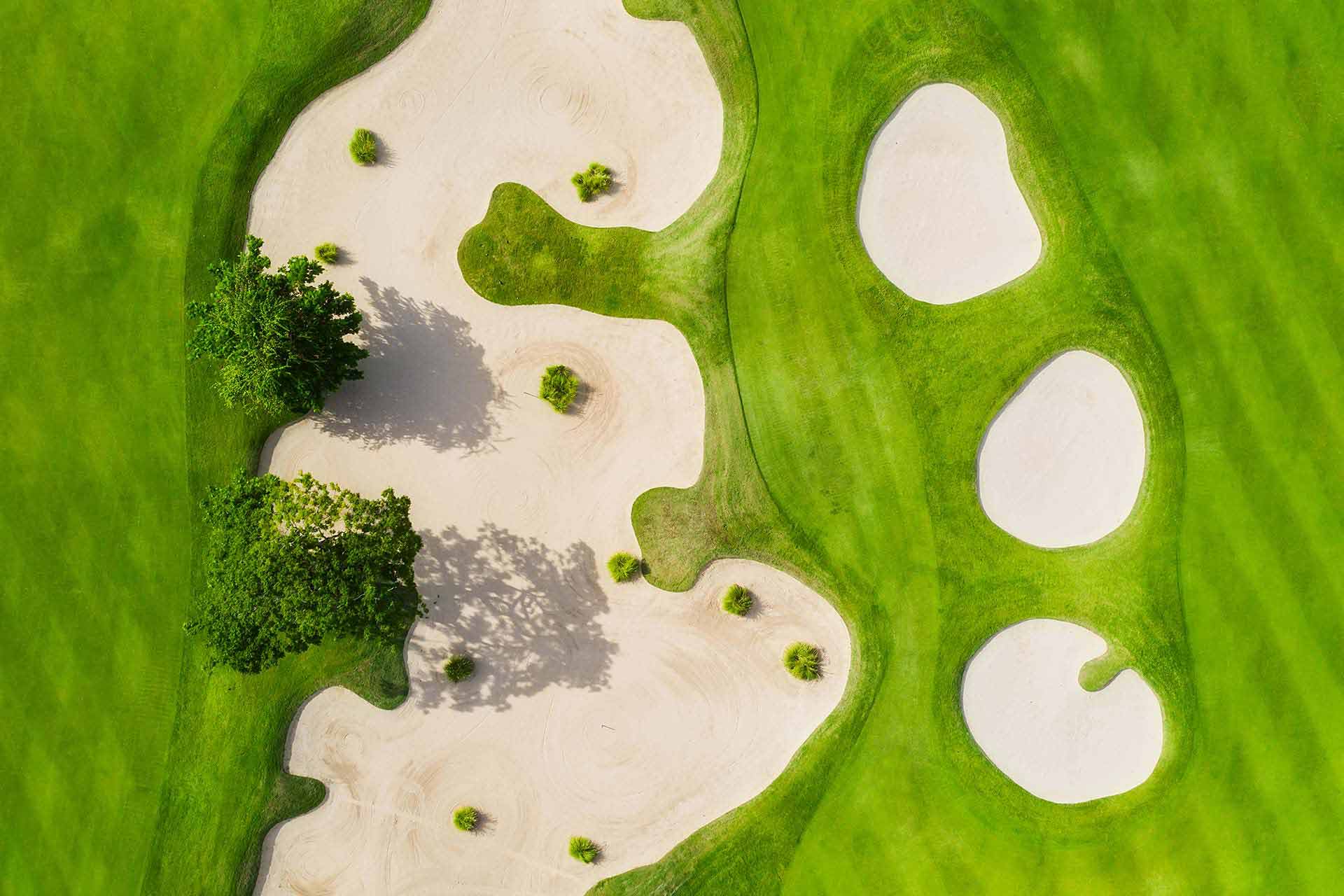 aerial-view-on-the-golf-course-green-grass